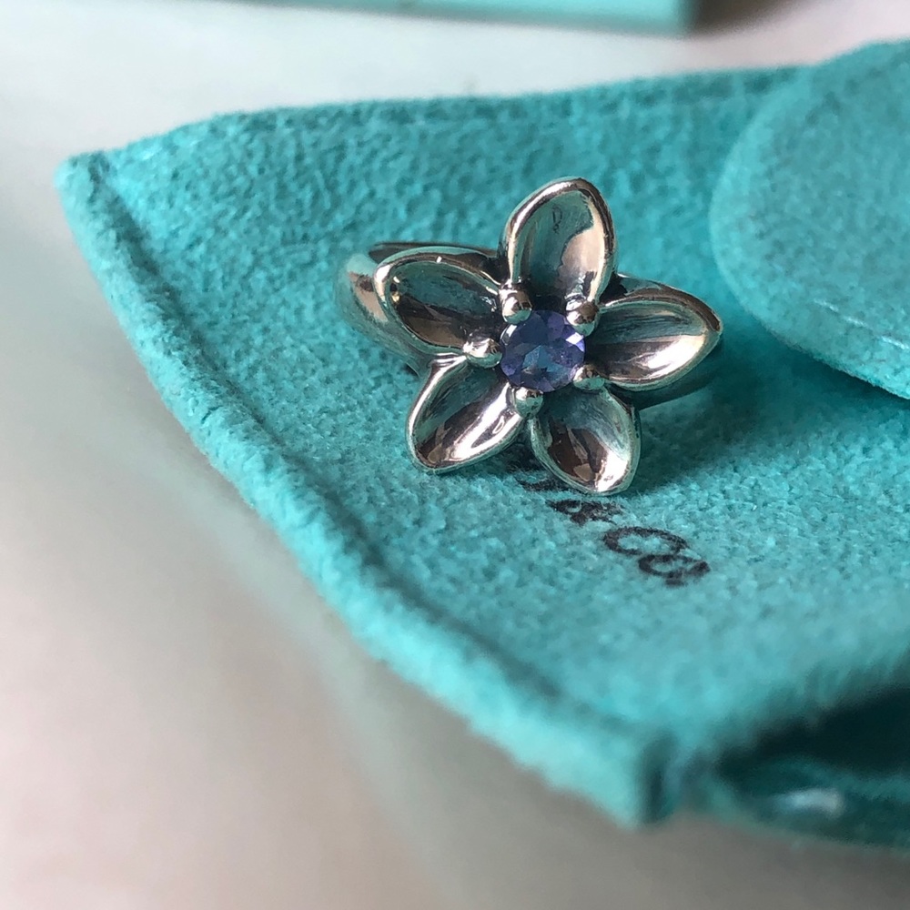 Tiffany & Co. Sterling Silver, Purple Lolite Ring